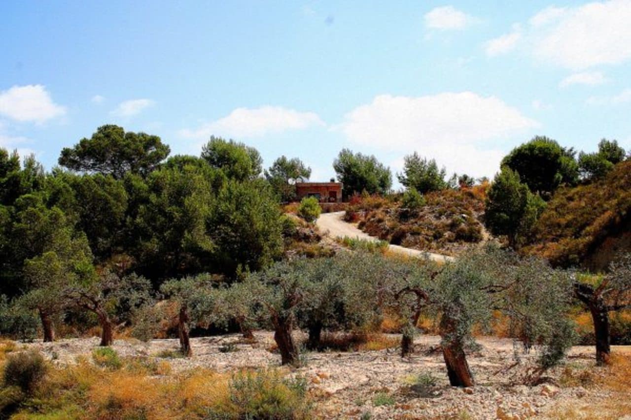 Finca - Cortijo de 3 dormitorios en Gea y Truyols