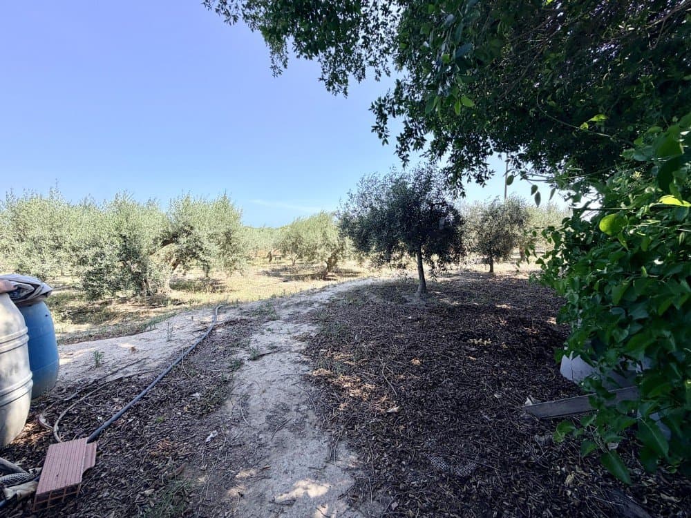 5 bed Finca - Cortijo in La Marina