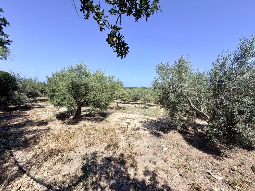 5 bed Finca - Cortijo in La Marina