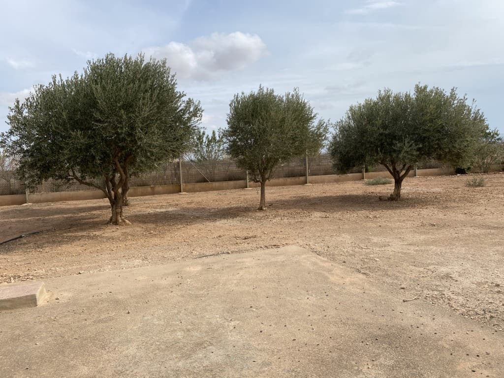 Adosada de 4 dormitorios en Fuente Alamo de Murcia