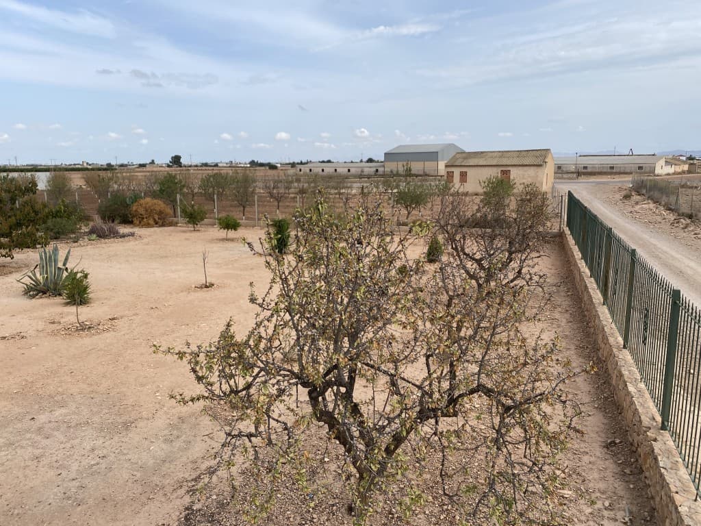 Adosada de 4 dormitorios en Fuente Alamo de Murcia