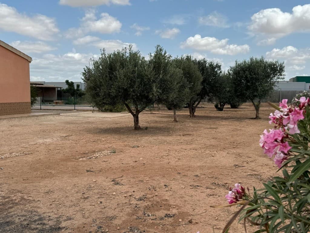 Adosada de 4 dormitorios en Fuente Alamo de Murcia